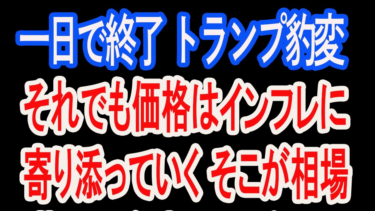 3/19【株式速報】あっと驚くトランプ劇場、裸の王様でも、それも相場。未来は買うことから始まる。