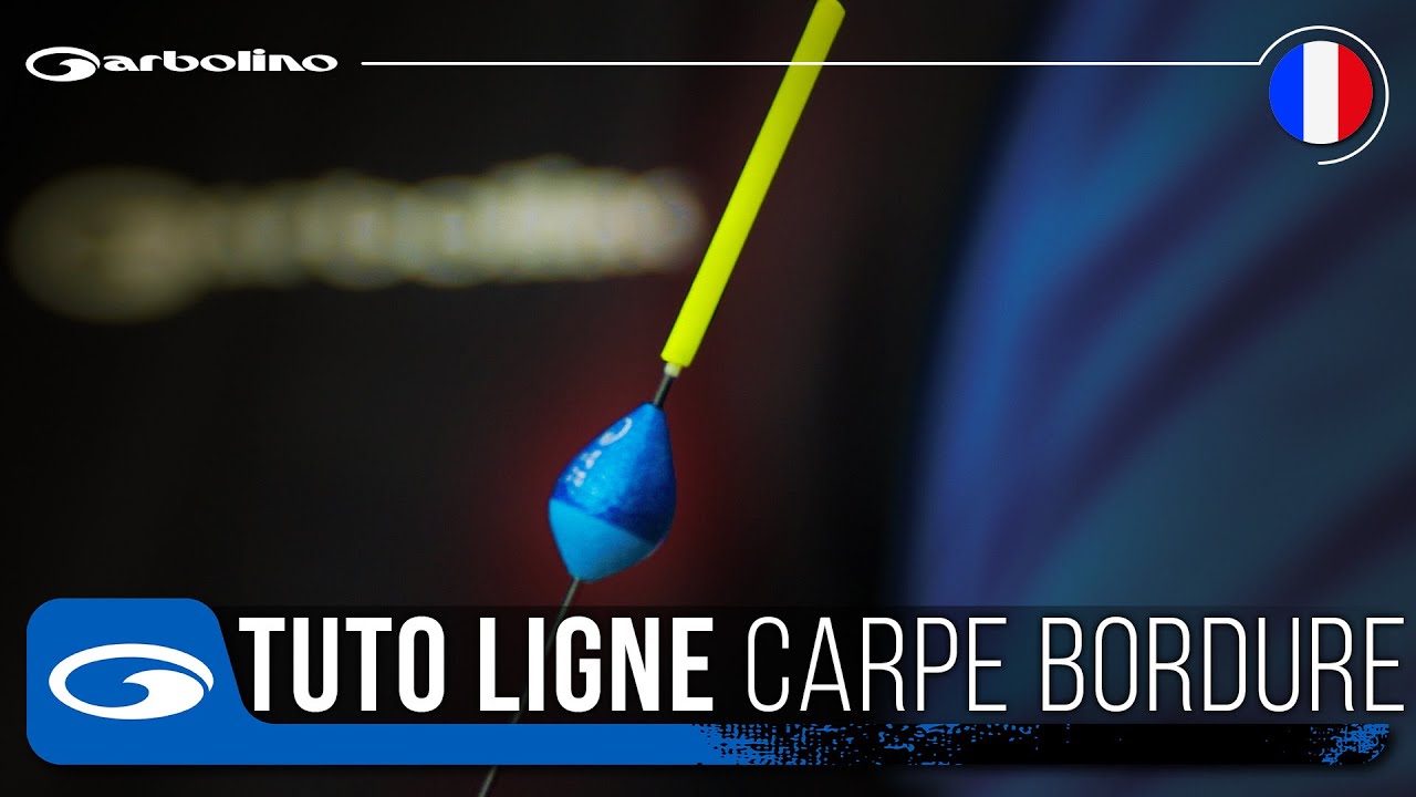 ASTUCES Montage de Ligne Pêche Carpe au Coup en Bordure