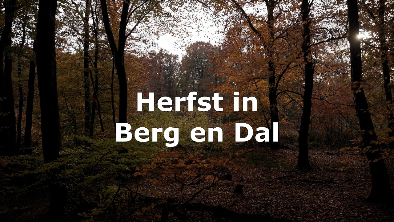 Berg en Dal | Herfst | 4K Drone Footage
