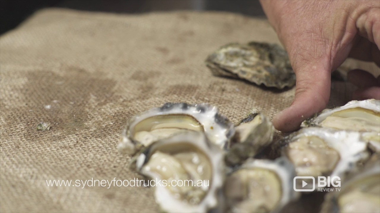 The Shuck Truck a Sydney Food Truck for Rock Oyster and Seafood Dishes