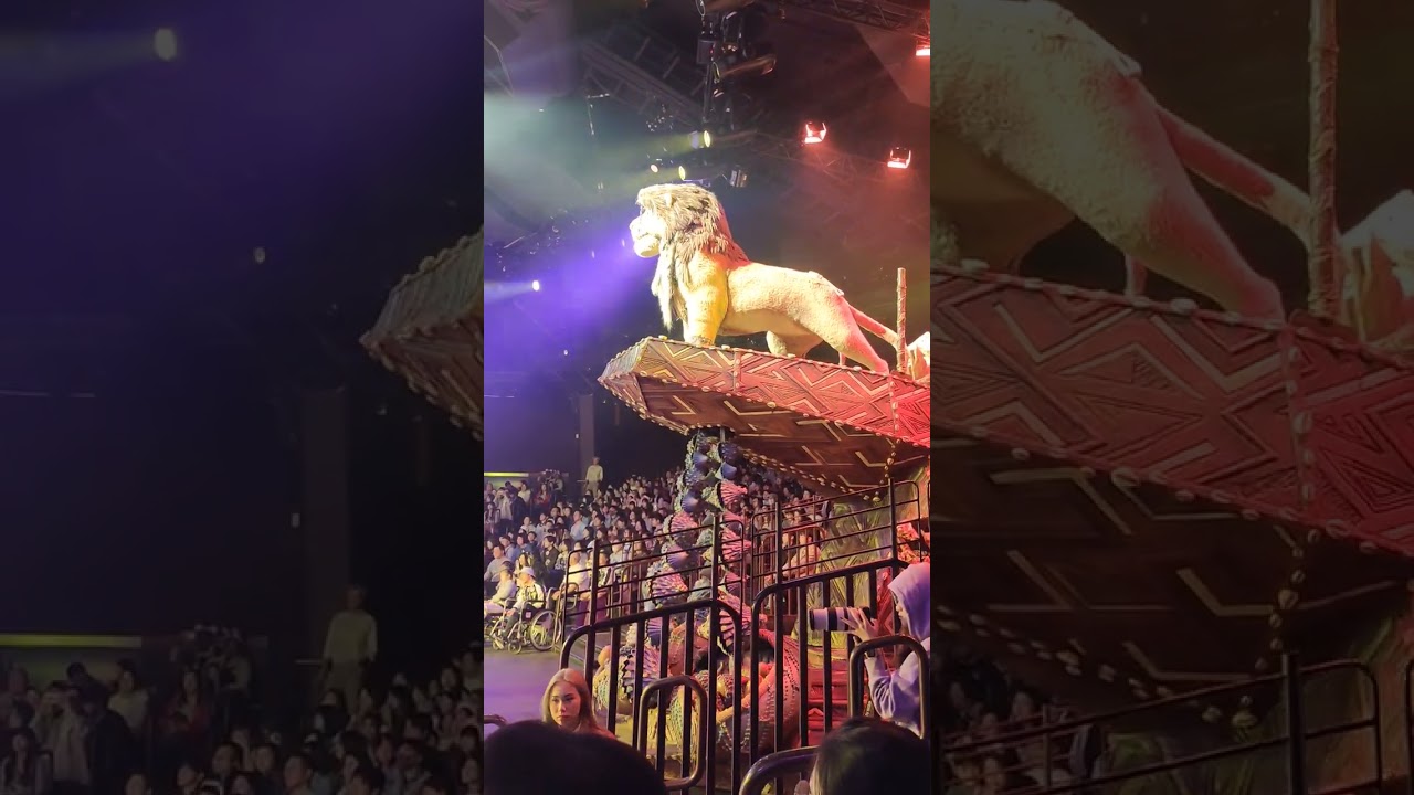 Lion King Disneyland Hong Kong Simba 