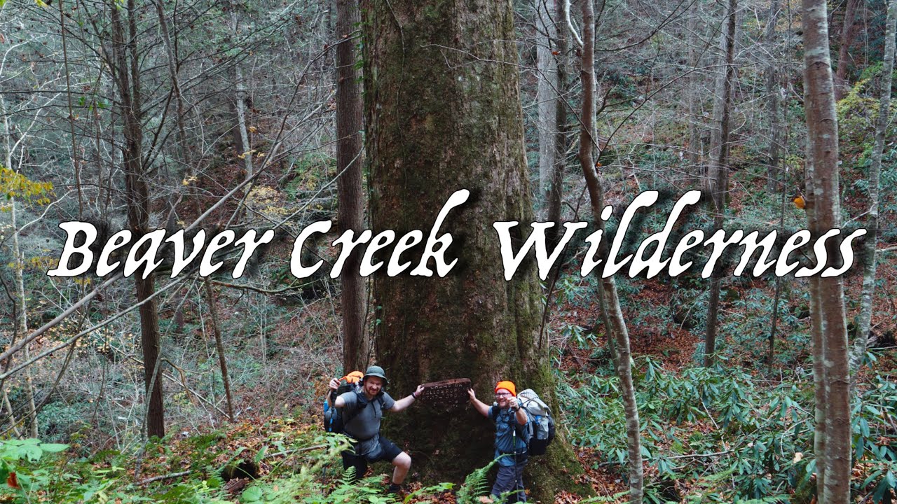 Backpacking Beaver Creek Wilderness Area // The Quest for Kentucky's Champion Tulip Poplar Tree