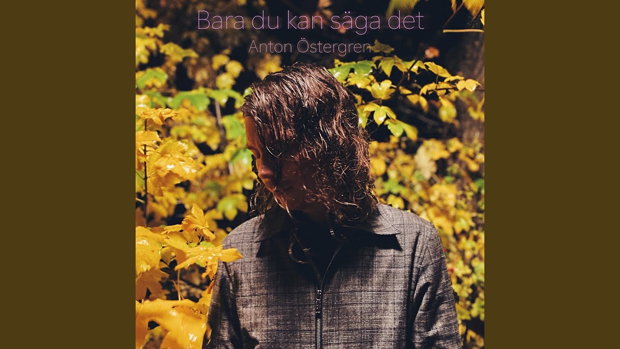 Bara du kan s&auml;ga det