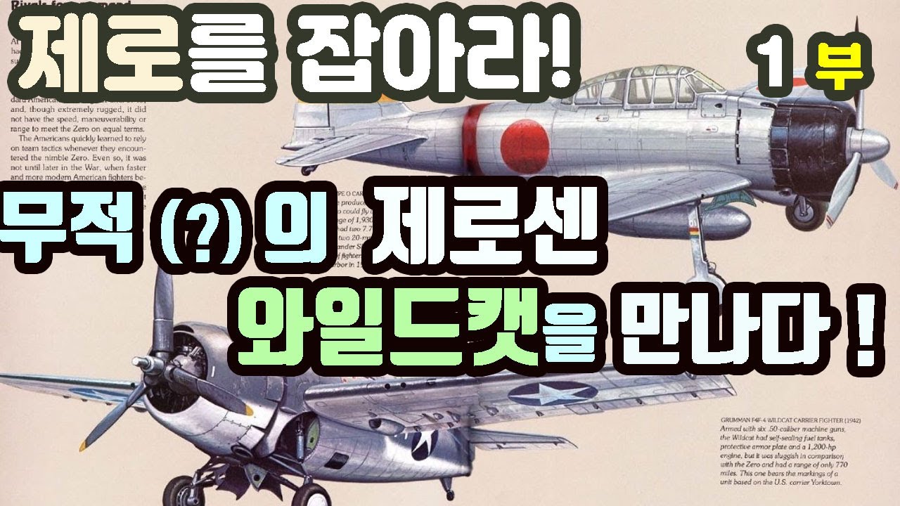 제로를 잡아라!  -  1부   무적(?)의 제로센, 들고양이를 만나다!