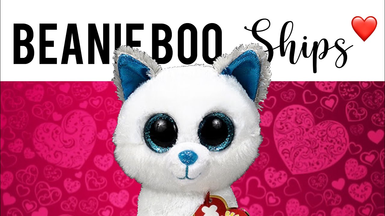 My Beanie Boo Ships