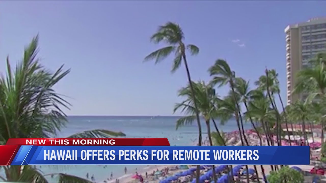 TRENDING: Work Remotely in Hawaii for Free