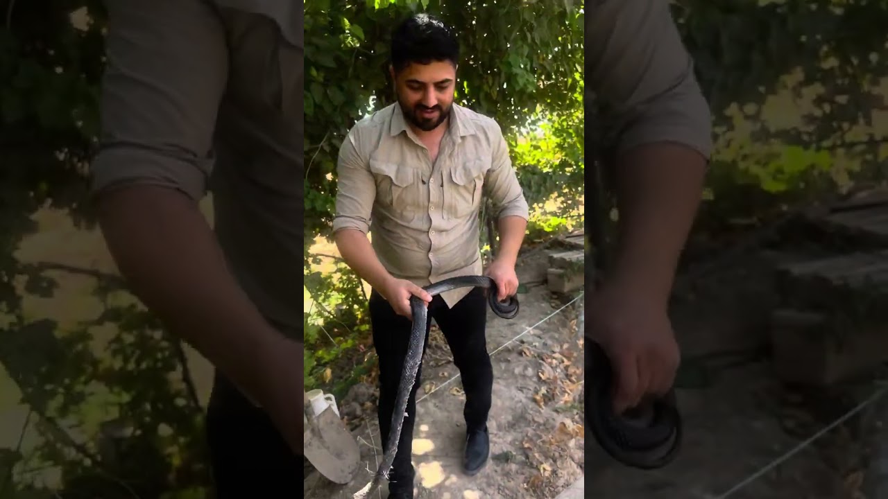 ڕزگارکردنی ڕەشمارێکی بێ ژەهر 