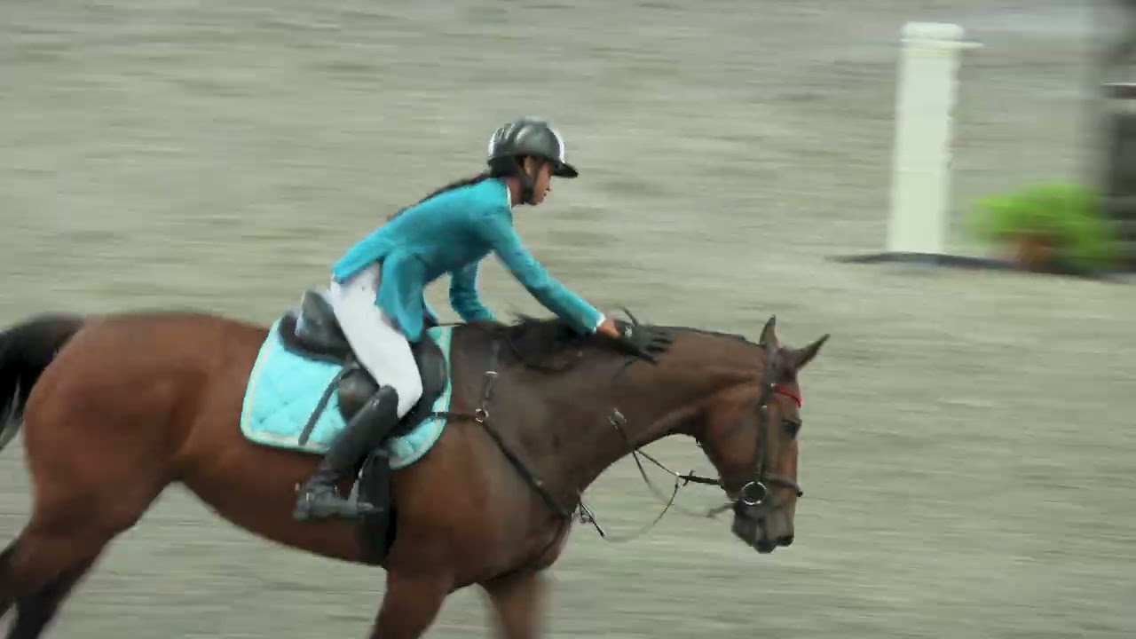 BTSC Equestrian Show Jumping Competition 2024 | FEI 120-130cm | Bukit Timah Saddle Club