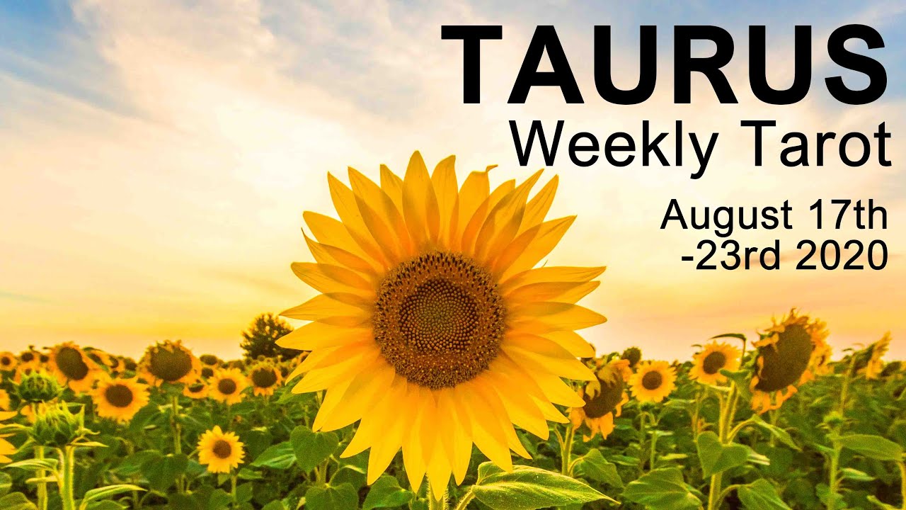 TAURUS WEEKLY TAROT READING  
