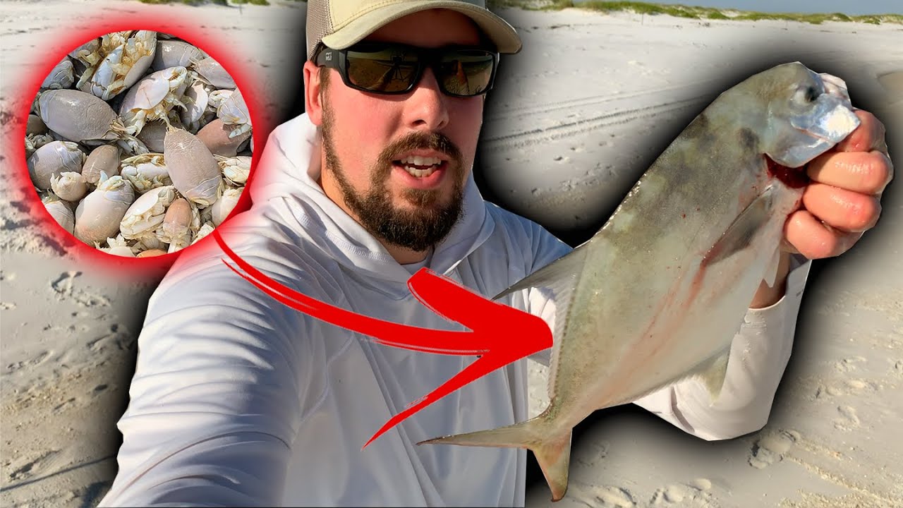 Fishing with SAND FLEAS for POMPANO!