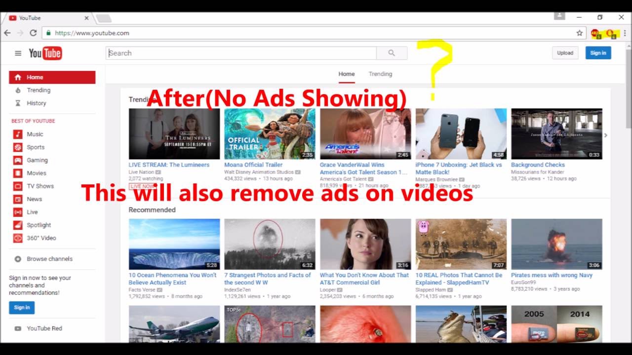 How to surf the internet without ADS