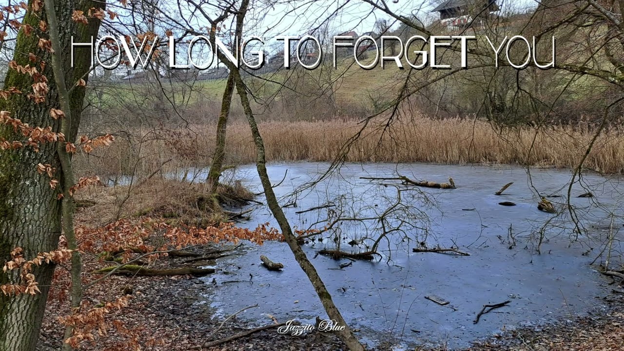 How Long to Forget You - Jazzito Blue