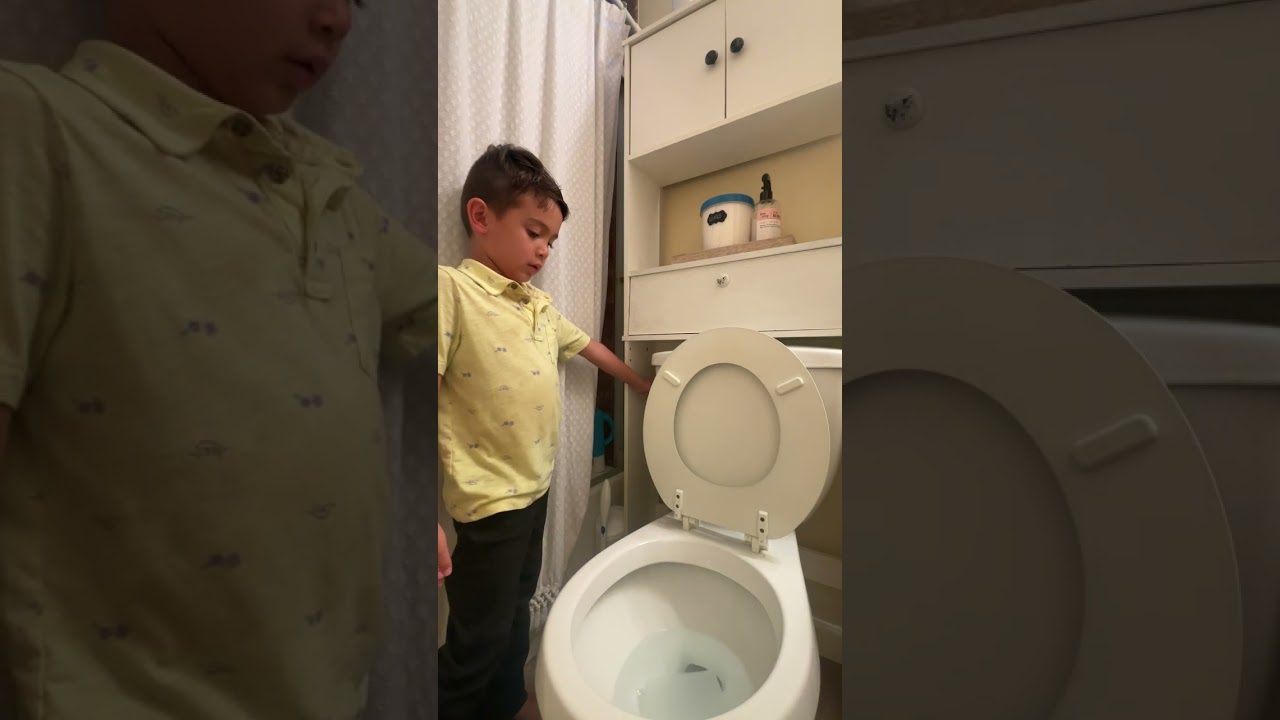 Another toilet video