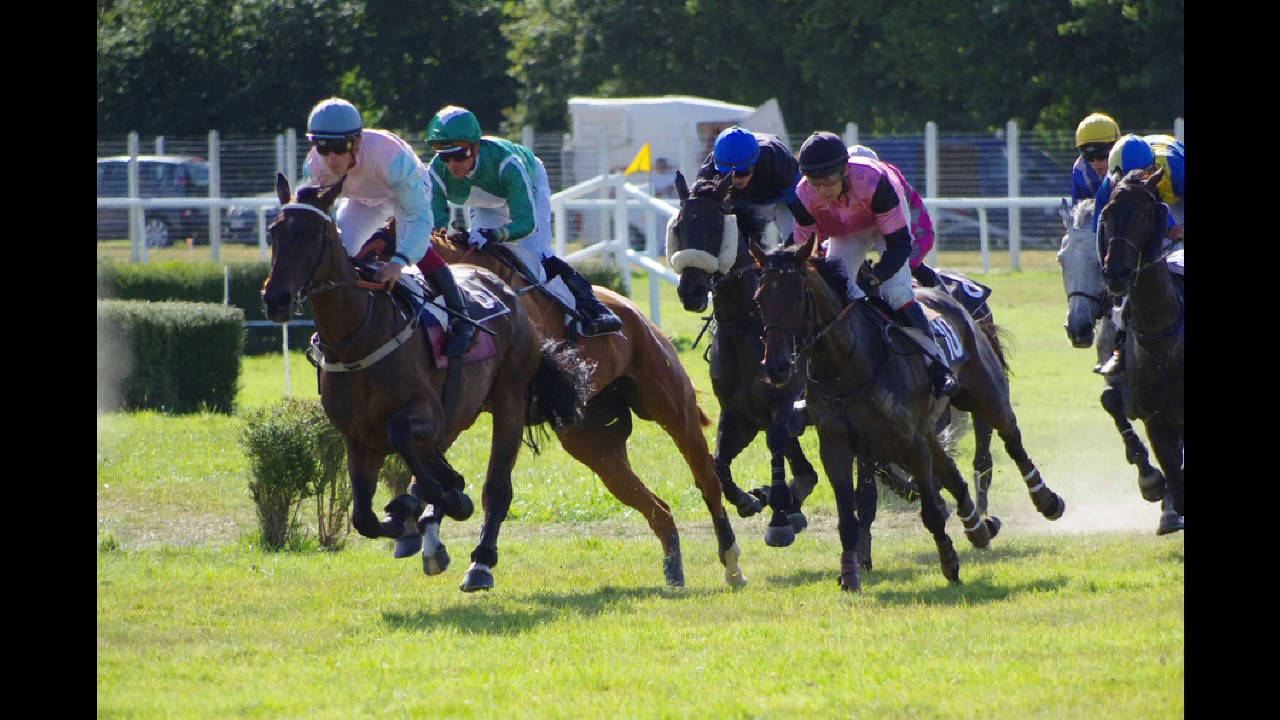 Courses de chevaux hippodrome de Dinan 07 août 2016