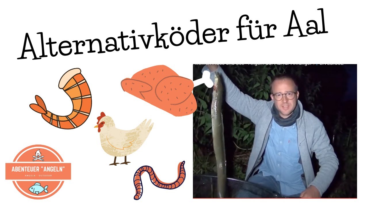 Alternativköder für Aal | Angeln mit Leber und Garnelen aus dem Supermarkt