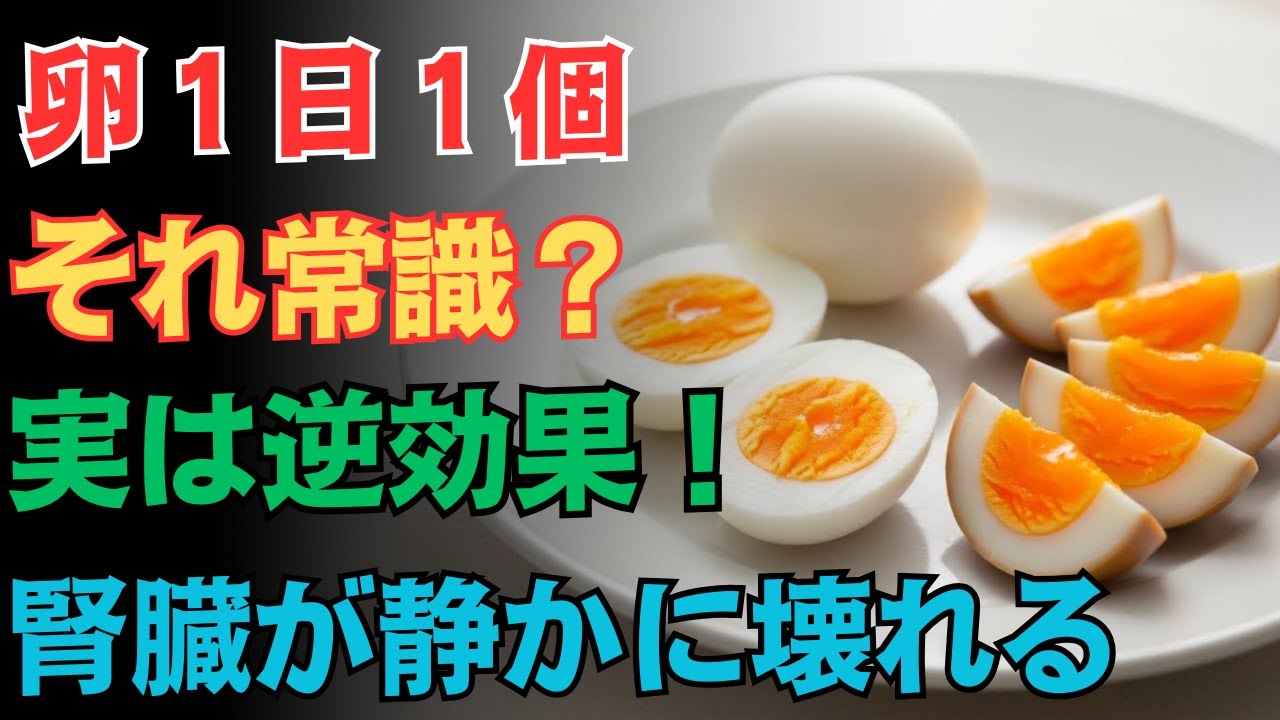 卵は腎臓に毒か栄養か？毎日ゆで卵を食べる人の結末と、腎臓を救うたんぱく質の黄金バランス