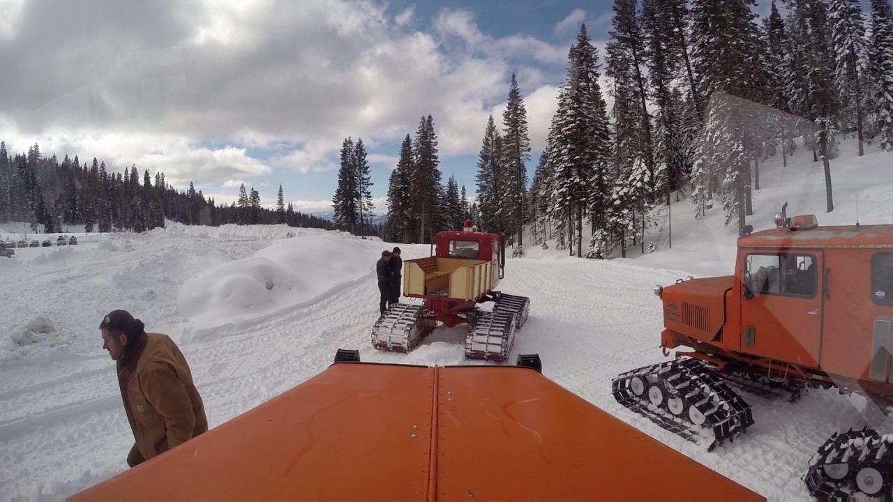 McCallin All Cats Brundage Mt Resort