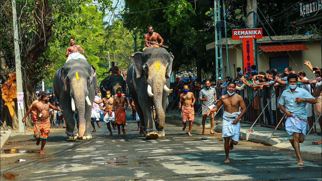 ഗുരുവായൂർ ആനയോട്ടം | Guruvayur Elephant Race 2026 | Guruvayur Aanayottam | Elephant Ravikrishnan
