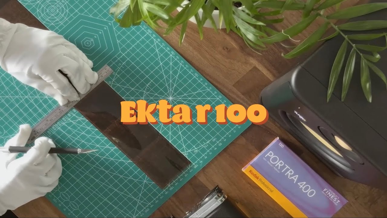 A Day of Ektar 100 | jonjonmokfilm