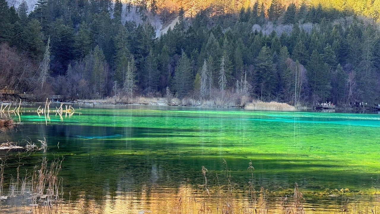Why Jiuzhaigou’s Water Has So Many Colors | Frozen Lakes of China