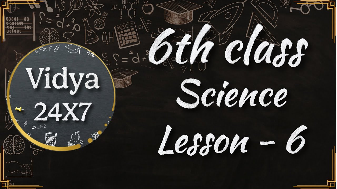 6th Class Science Lesson 6 | Telangana & AP SCERT Syllabus | Complete 100% Telugu Explanation