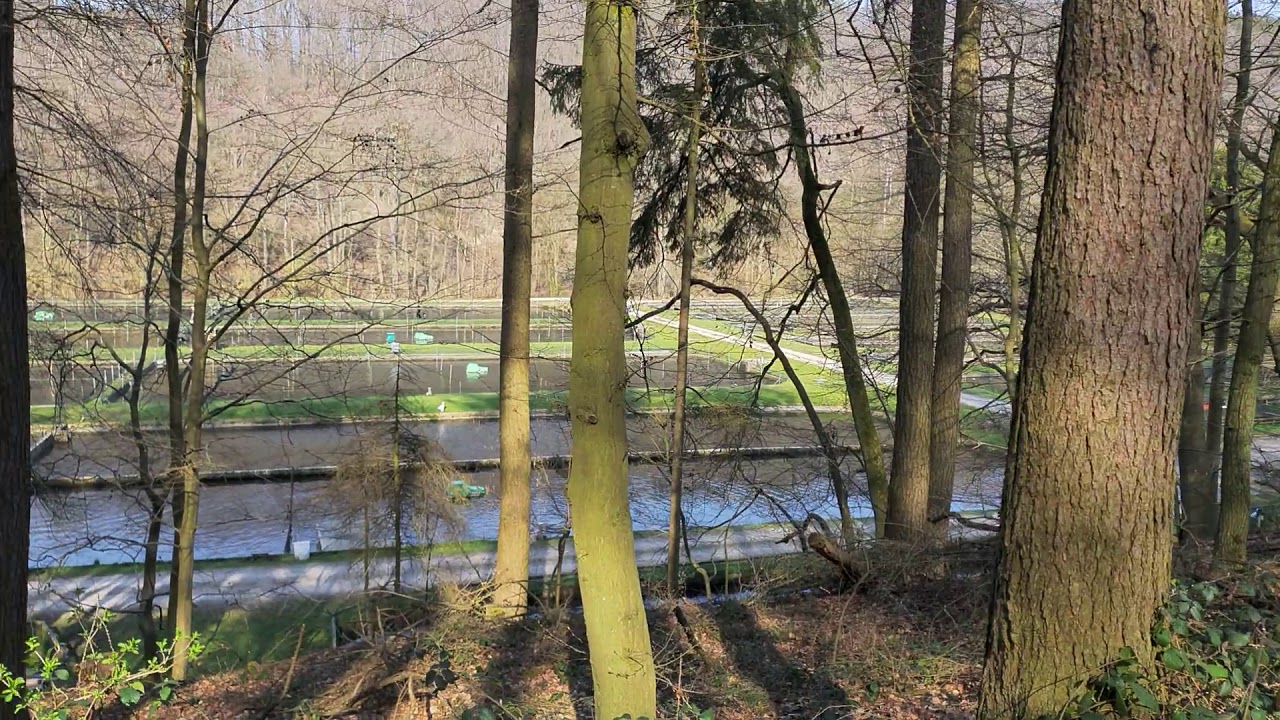 Eifel-Rur - Wehebachtalsperre