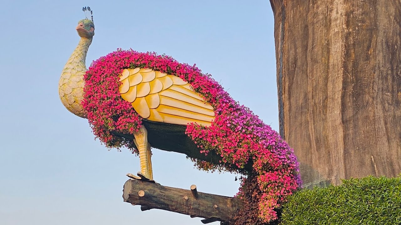 Dubai Miracle Garden #Dubai #MiracleGarden
