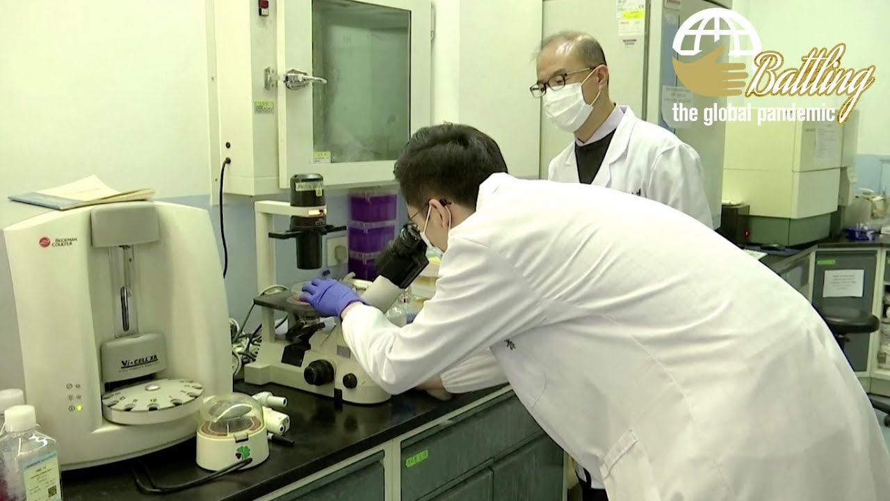 Chinese scientists find 'effective' antibodies for COVID-19