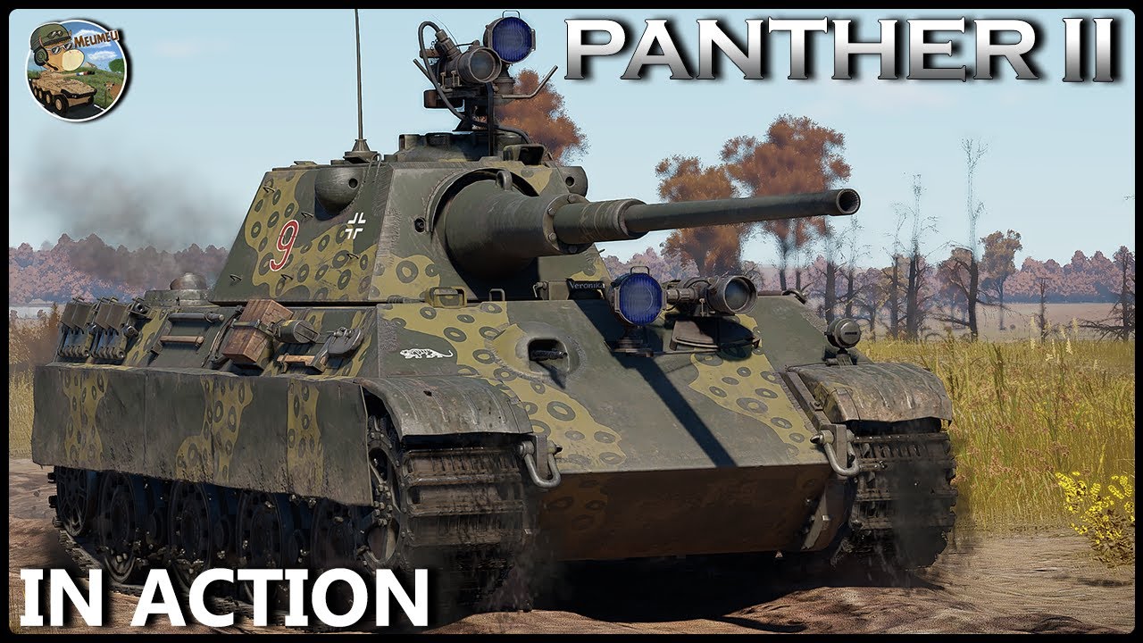 IN ACTION : PANTHER II ! L’ÉQUILIBRE PARFAIT !