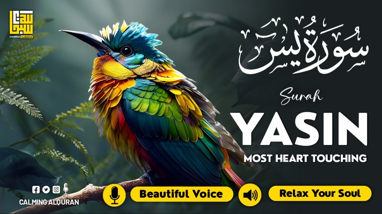 Yasin Surah Complete Surah (سورة يس) ✦ Relaxing Quran Recitation ✦ Relaxation Ad-Free