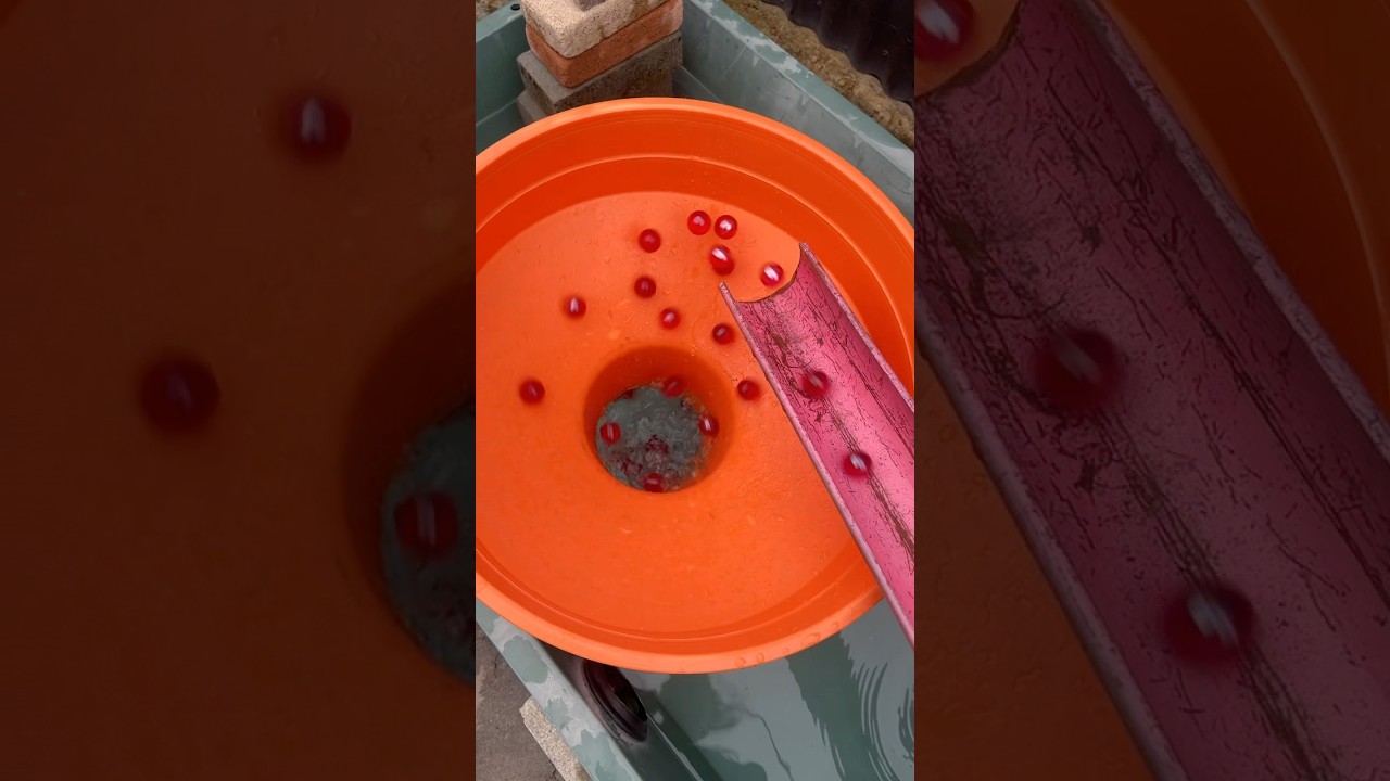 Marble run ASMR #funny #satisfying #marblesrace #bouncymarble