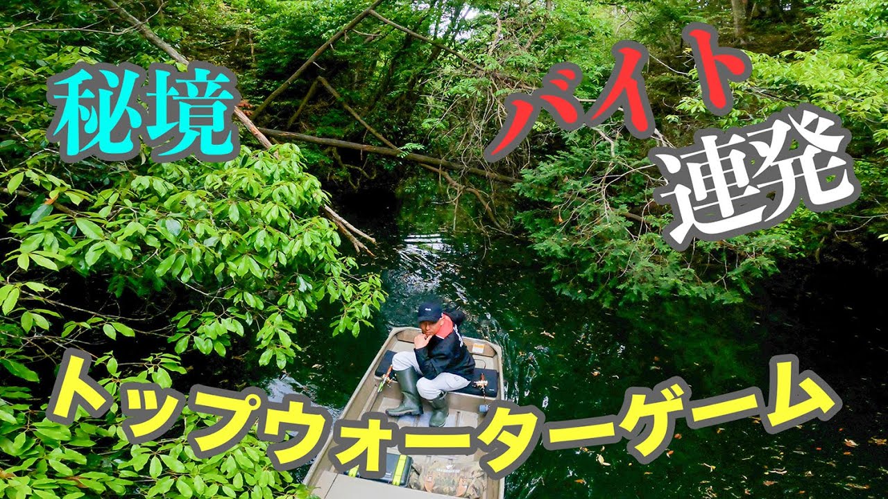 【バイト連発】トップウォーターに出る瞬間が堪らない！