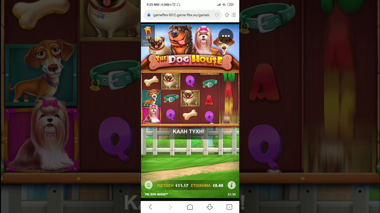 THE DOG HOUSE 2 bonus (26 free spins) Novibet slots