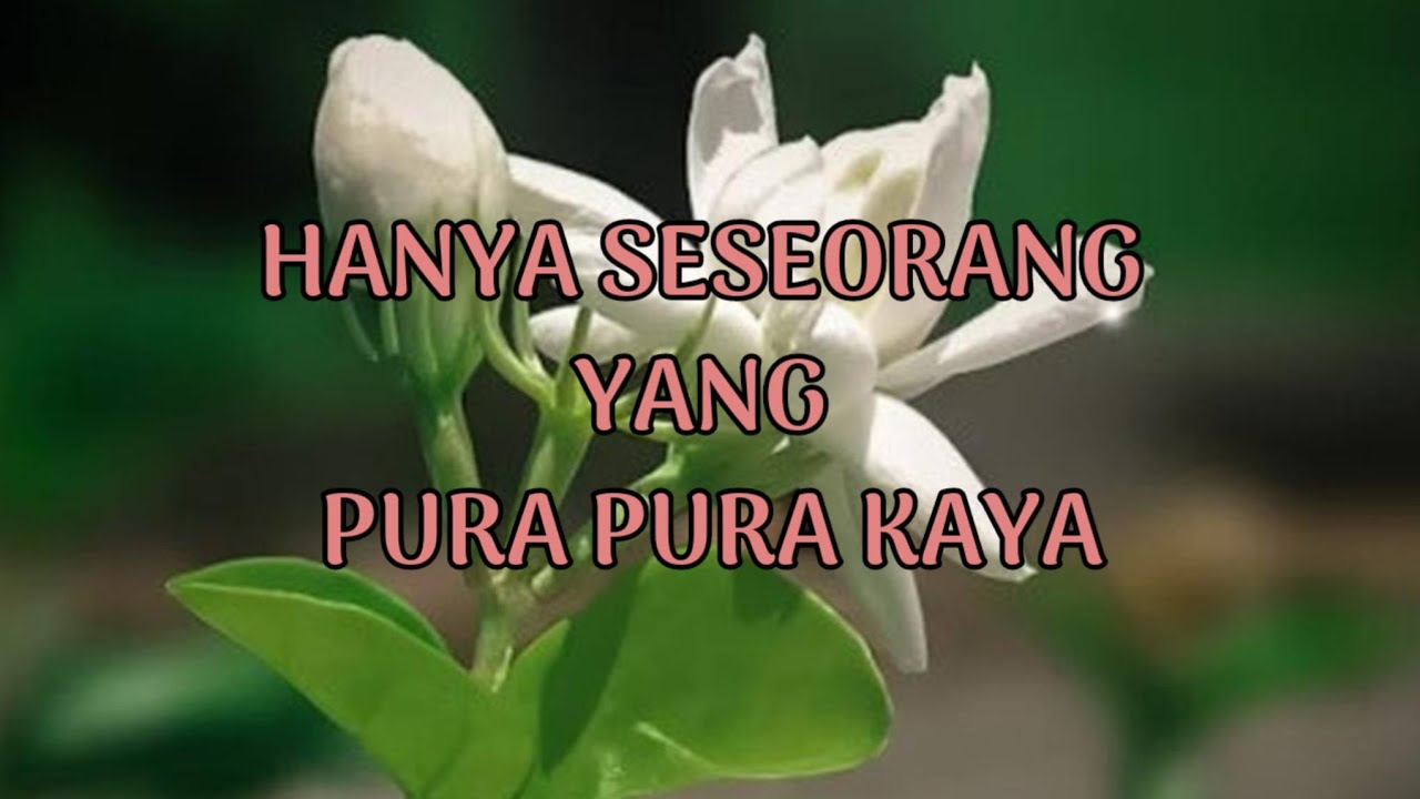 🎆 HANYA SESEORANG YANG PURA2 KAYA 🎆