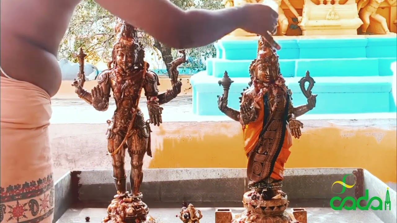 தை அமாவாசை அபிஷேகம்   18/1/2026 ஸ்ரீ இராமலிங்கேஸ்வரர் சமேத சௌடாம்பிகை அம்மன்