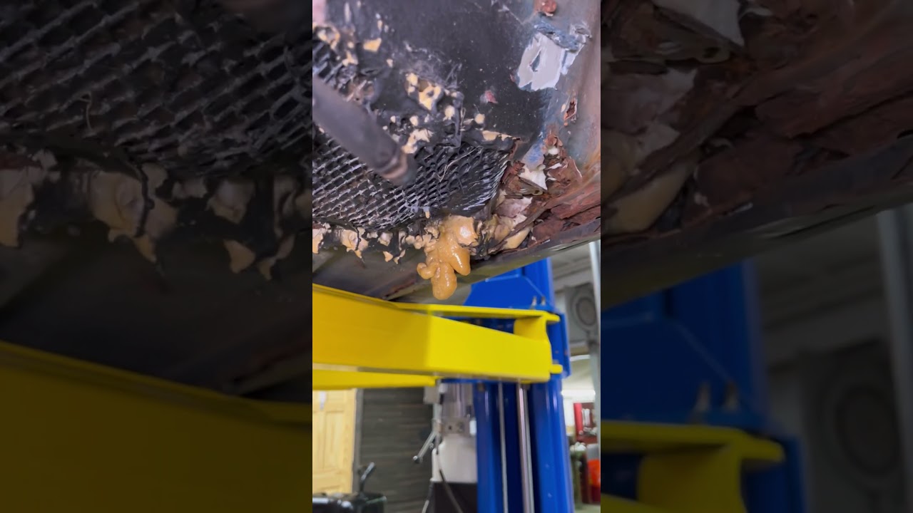 BMW E34 M5 Rust Repair #diy #automobile #bmw #cars #restoration