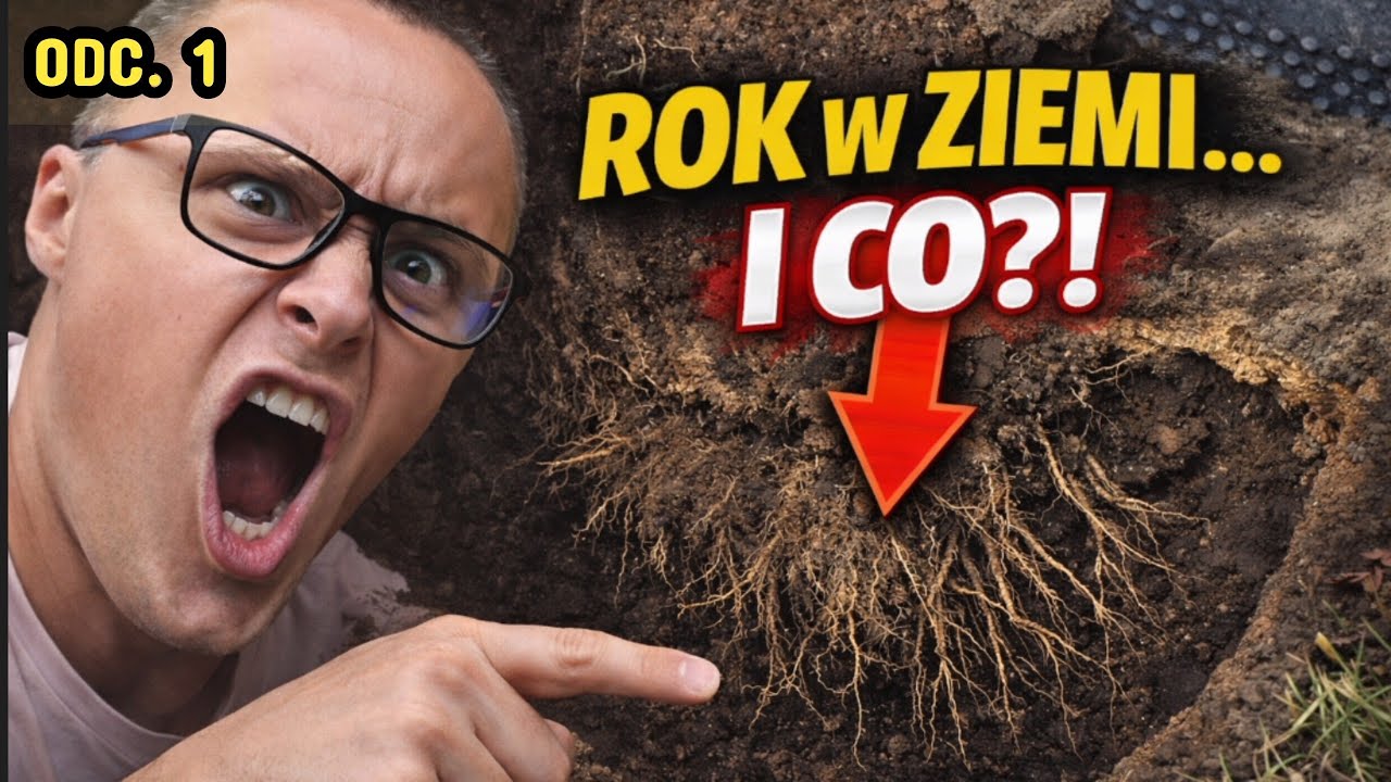🍇 Korzenie winorośli po roku w ziemi! Co się stało?! 👀 | Część 1