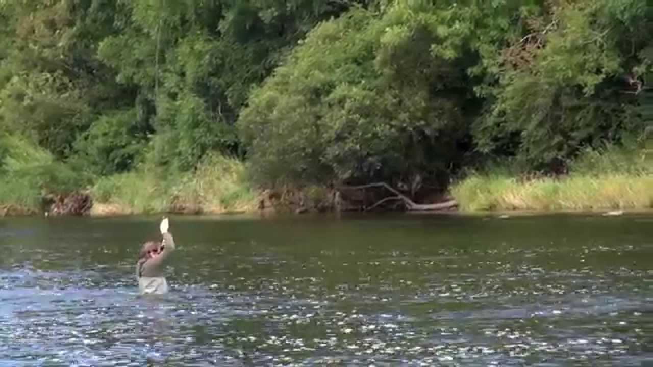 How to Czech Nymph for Trout with a surprise Atlantic Salmon