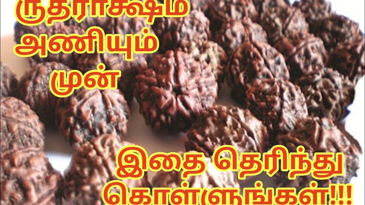 ANANDA LAHARI is live ருத்ராக்ஷ முகமும் அதன் பலன்களும்...