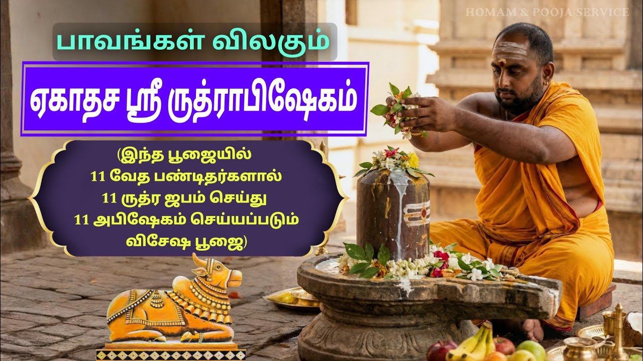 Powerful Rudrabhishekam Full Ritual 🙏Do This at Home for Positive Energy ✨ homam & pooja service