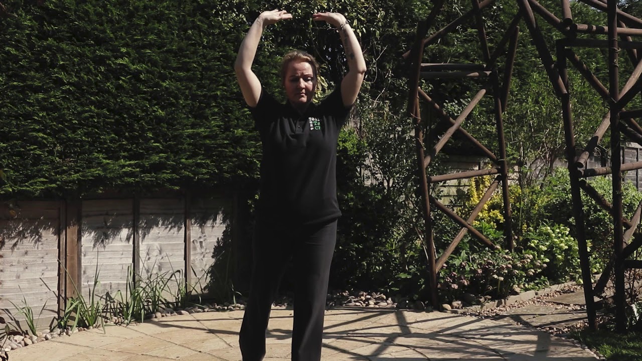 Dao Yin Bao Jian Gong - Health Exercises