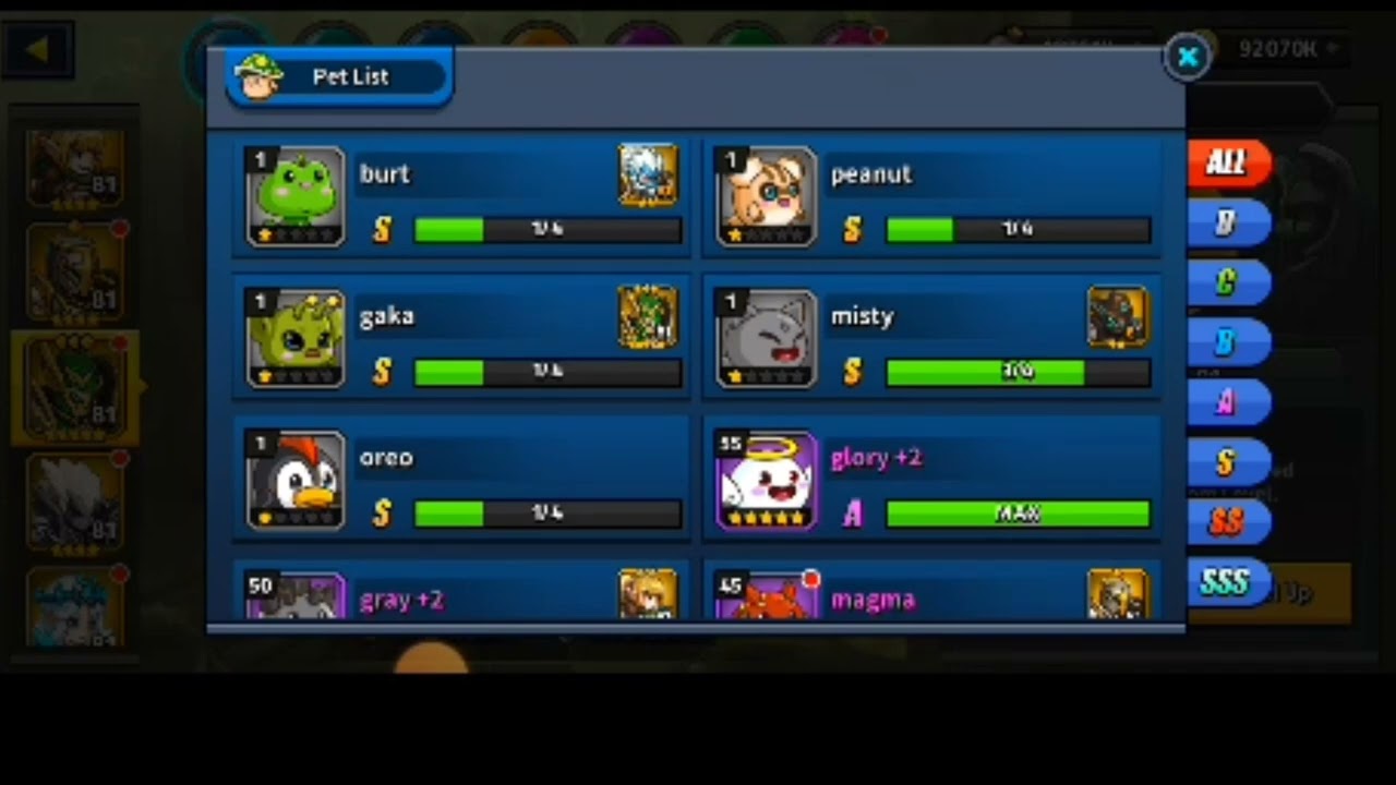 kingdom Quest pet set up