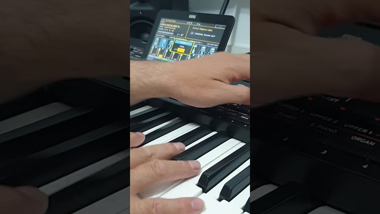SET KORG PA4X  LUNA MAI 2025 , PARTEA-II-a