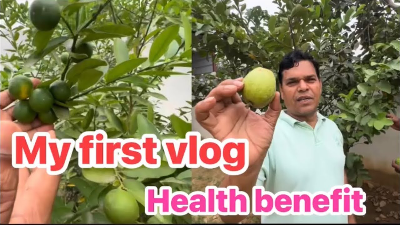 My first vlog #real #minivlog #health #garden #fruit #nature #video #kabirvlogs9#real #vairal vlogs