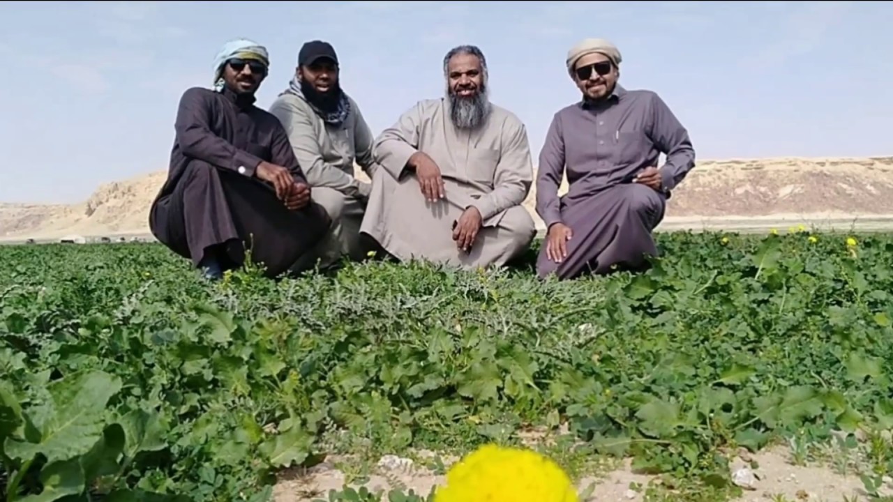 شيلة زان الطريق l واحلى كشتة بروضة (فيضة) الخفس ١٤٤٠هـ l شيلات البر