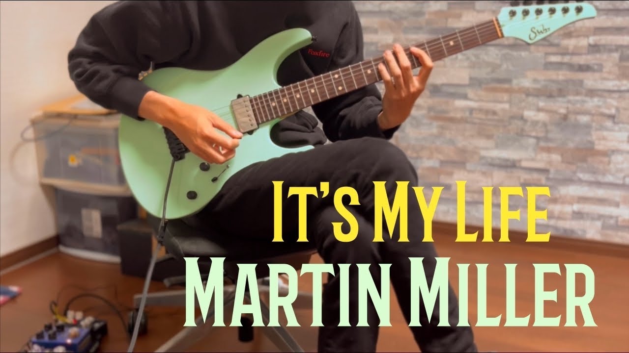 It's My Life(Bon Jovi) | Martin Miller Solo Cover