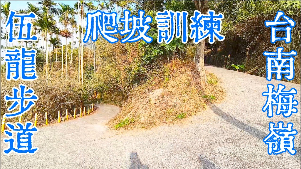 台南梅嶺  走不完的伍龍步道 爬坡訓練