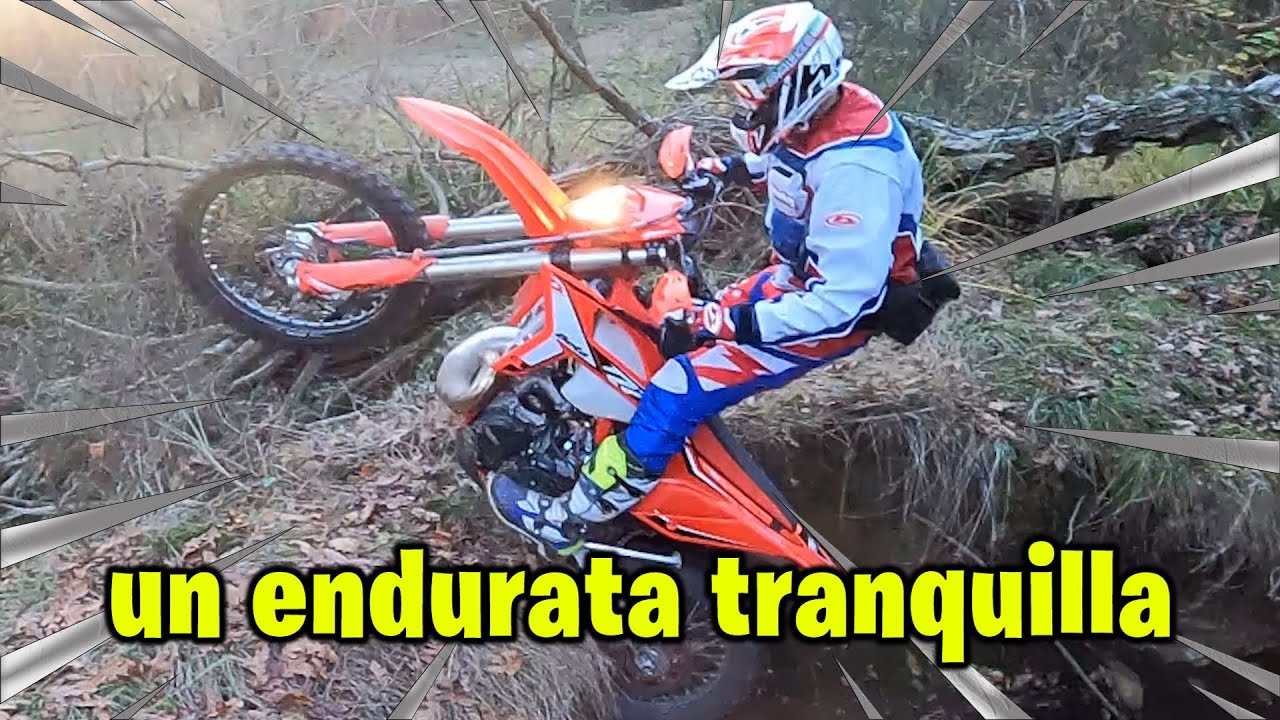 🌲Enduro pazzo nel bosco🥵