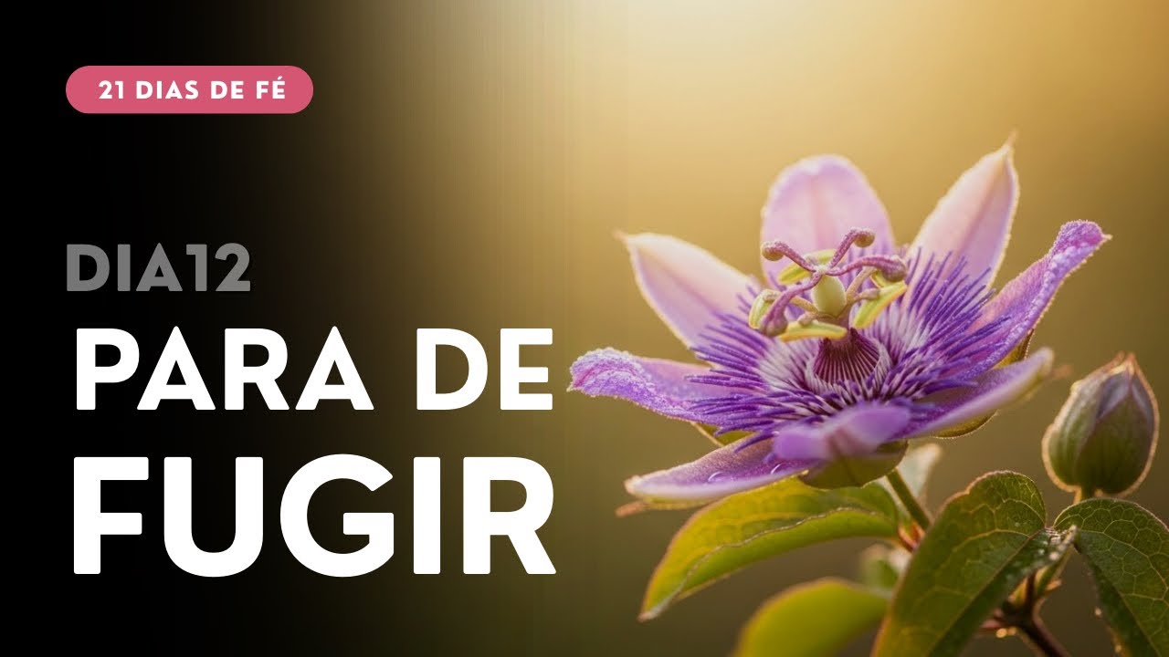 Deixa o Amor de Deus Curar as Tuas Feridas Agora