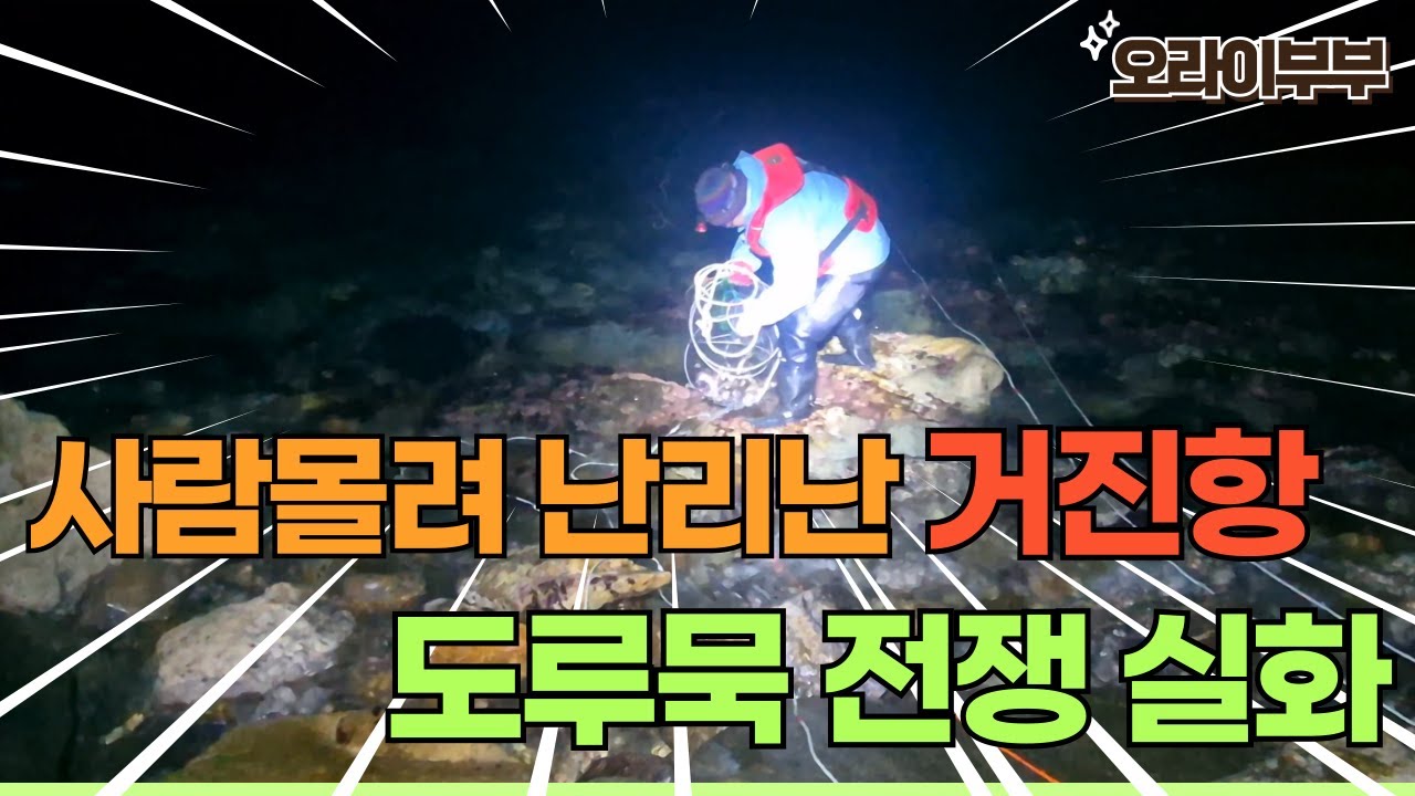 사람 몰려 난리 난 거진항 도루묵 전쟁 실화 #투망 #해루질 #취미 #취미생활 #도루묵